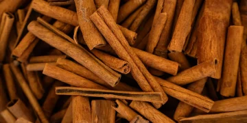 Fiscalização: Anvisa determina recolhimento de canela após identificar pelos de roedores