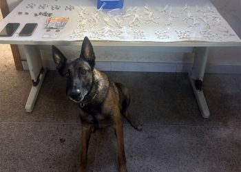 Guarapari: Polícia Militar apreende grande quantidade de drogas, recupera motocicleta e cumpre mandado de prisão