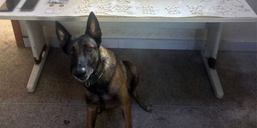 Guarapari: Polícia Militar apreende grande quantidade de drogas, recupera motocicleta e cumpre mandado de prisão