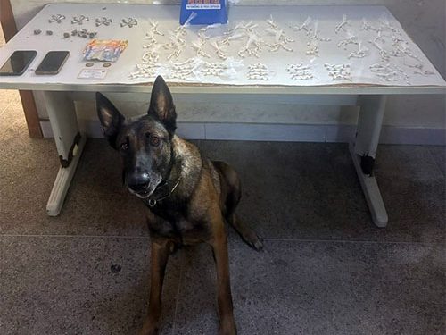 Guarapari: Polícia Militar apreende grande quantidade de drogas, recupera motocicleta e cumpre mandado de prisão