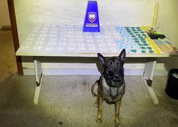 Guarapari: Polícia Militar apreende grande quantidade de drogas e cumpre mandados