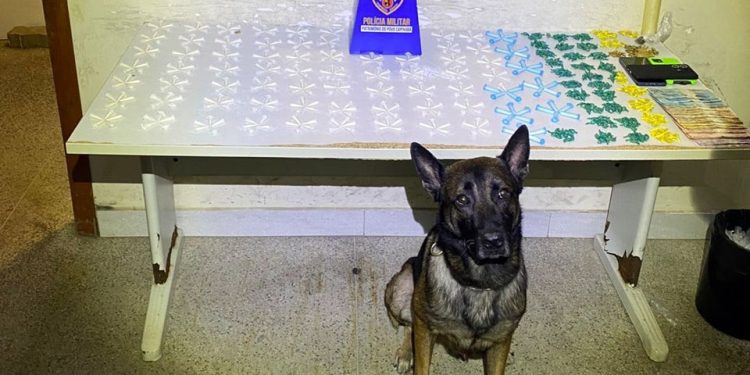 Guarapari: Polícia Militar apreende grande quantidade de drogas e cumpre mandados