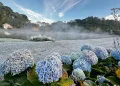 Turismo: Frio transforma cenário de  vilarejo no sul de Minas Gerais