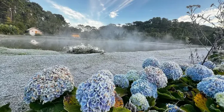 Turismo: Frio transforma cenário de vilarejo no sul de Minas Gerais
