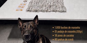 Guarapari: 10º BPM apreende grande quantidade de drogas