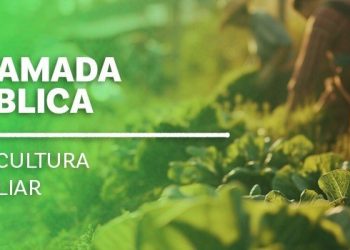 Estado: Última semana para agricultores familiares participarem de chamada pública com investimento de R$ 62 milhões