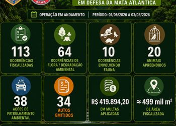 Espírito Santo: Operação “Protetor do Bioma” registra mais de 100 fiscalizações ambientais em resultado parcial