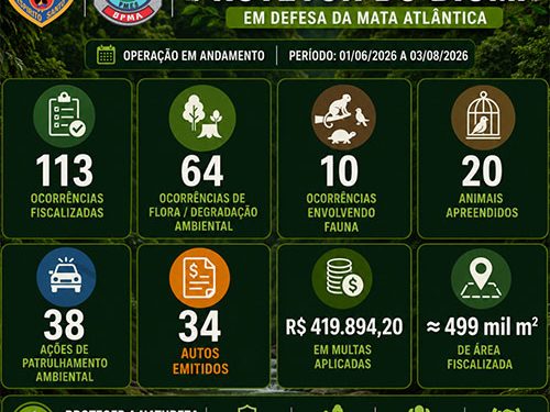 Espírito Santo: Operação “Protetor do Bioma” registra mais de 100 fiscalizações ambientais em resultado parcial