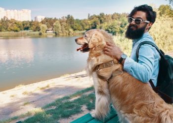 Turismo: MTur mapeia mercado pet friendly para orientar setor e turistas