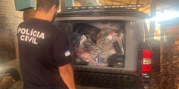 Cachoeiro de Itapemirim: Denarc destrói cerca de 600 quilos de drogas apreendidas em ações policiais