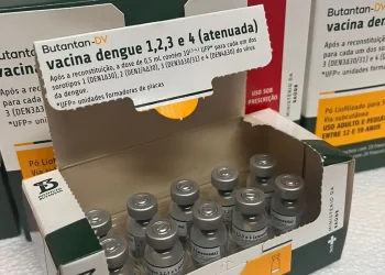 Saúde: Ministério suspende vacina contra a dengue do Butantan